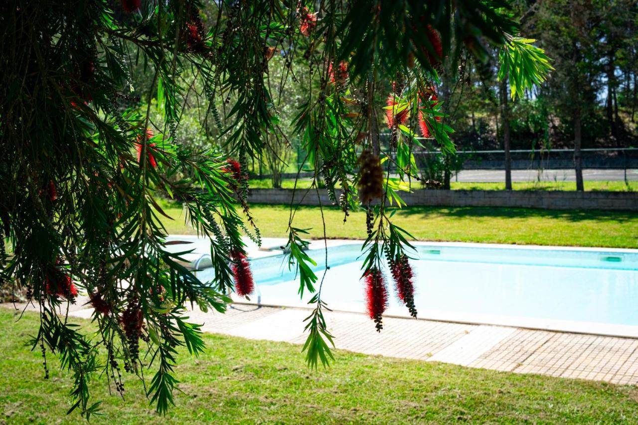 Hotel Rural Quinta Do Juncal Serra d'El-Rei Buitenkant foto