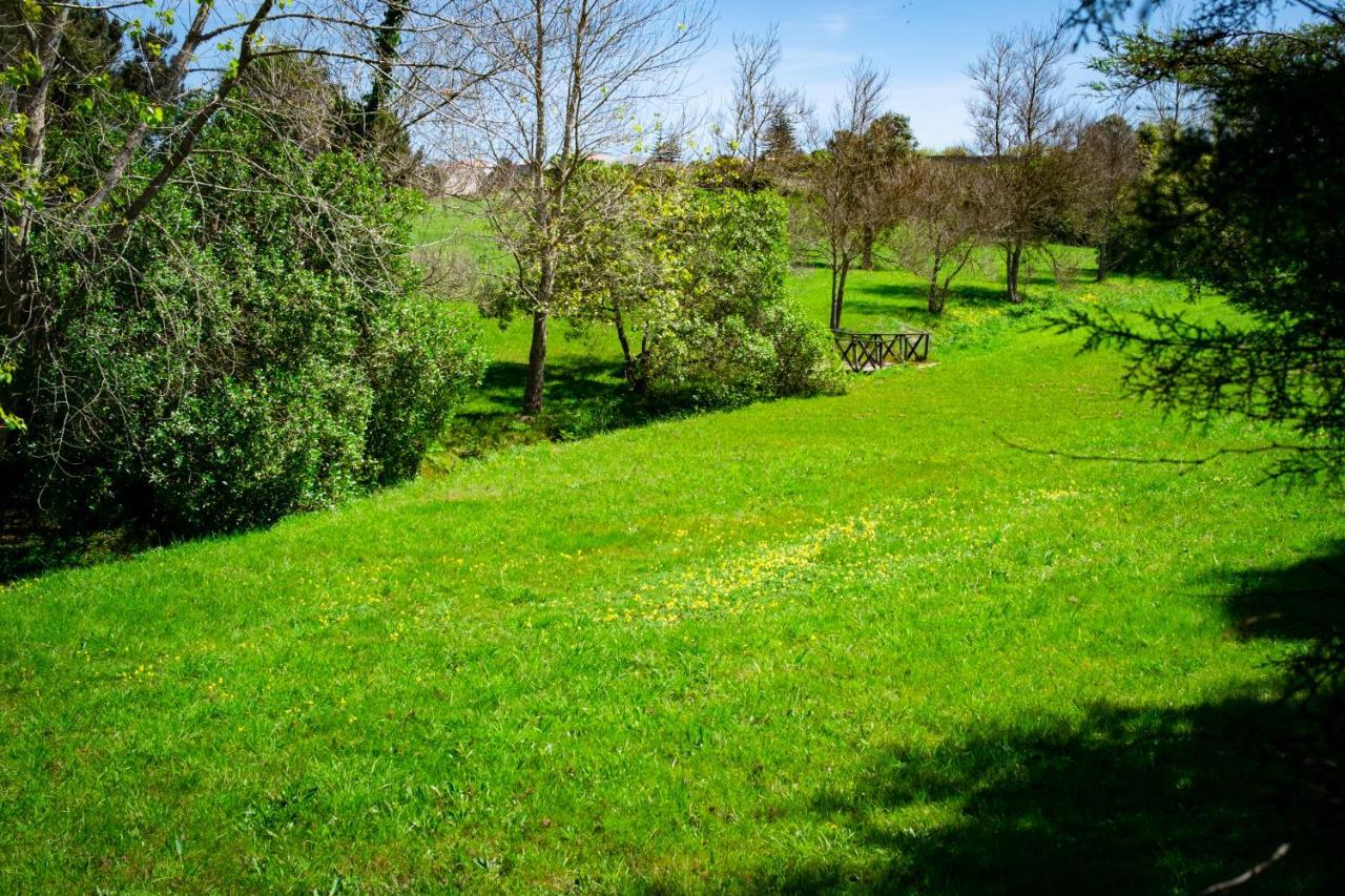 Hotel Rural Quinta Do Juncal Serra d'El-Rei Buitenkant foto
